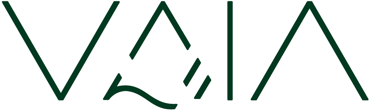 logo-vaia-2022